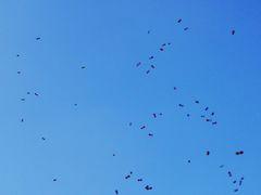 -苏州现代传媒广场商业