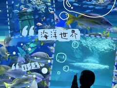 -海合安武汉极地海洋公园