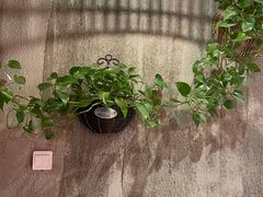 -炉小二铜锅牛蛙•川湘菜(三里屯店)