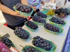 -龙湖南京江北天街