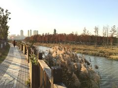 -三垟湿地