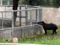 -石家庄市动物园