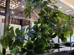 -湘桂人酒楼(西便门店)