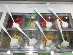 -Salud撒露欧洲冻酸奶(798艺术区店)