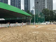 -名驭国际马术学院