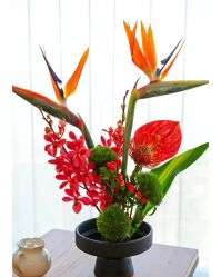 -圣贝拉母婴护理中心(深圳莱佛士店)