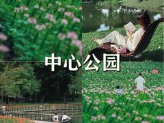 -四海公园(南山区)