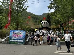 -栾川竹海野生动物园