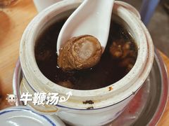 牛鞭汤-江村四哥新鲜牛肉店(江高总店)