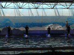 -秦皇岛乐岛海洋王国