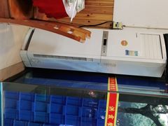 -洪霞餐馆