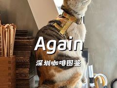 -Again Coffee Roaster(香蜜湖店)