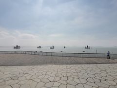 -贡湖湾湿地公园