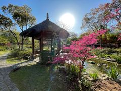 -上海滨江森林公园