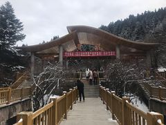 景点-黄龙山原始森林景区