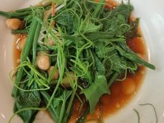 清炒南瓜尖儿-巴依老爷新疆美食(清华东门店)