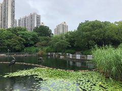 -苏州河梦清园环保主题公园