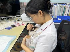 -瑞派动物医院·猫专科·至诚(江南中分院)