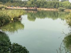 -燕郊植物园