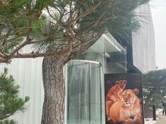 -罗红摄影艺术馆