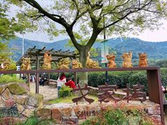 -树山生态村