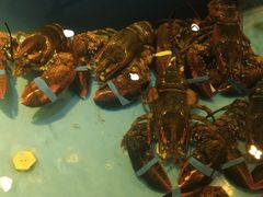 -皇朝尊会(龙之梦大酒店)