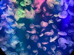 -成都浩海立方海洋公园