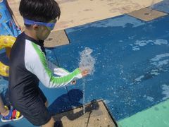 -泉城欧乐堡水上世界