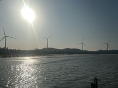 -汕尾风车岛