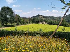 -帐篷客·溪龙茶谷度假酒店