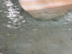 -碧水湾温泉