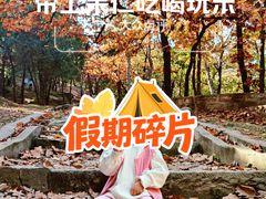 -北京鹫峰国家森林公园