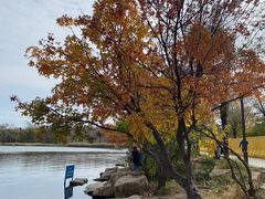 -长春市南湖公园