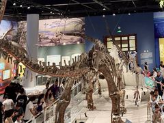 -国家自然博物馆