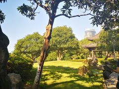 -宁波茶文化博物院