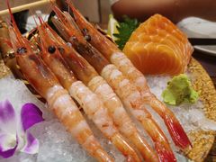 三文鱼刺身-披头士烧鸟居酒屋(王府井店)