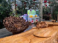 -兴芮温泉度假区