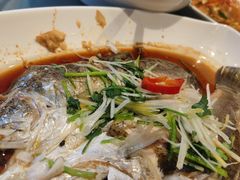 -山南熏肉大饼(辽菜旗舰店)