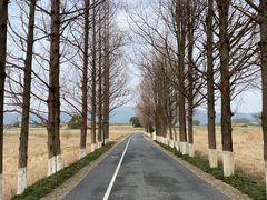 -良渚古城遗址公园