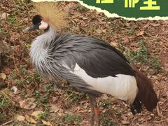 -昆明动物园