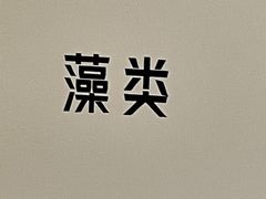 -现代汽车文化中心 Hyundai Motorstudio Beijing