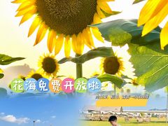 -光明小镇欢乐田园