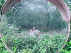 -紫金山山顶公园