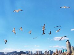-星海广场