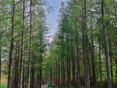-云龙山