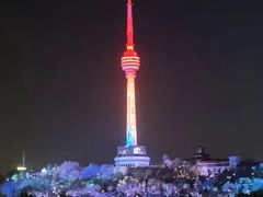 -武汉两江游览·夜游长江(汉口粤汉码头)
