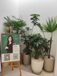 -妈妈时光机医疗产后修复(南山茂业百货店)