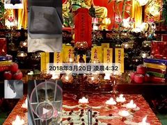-泰洋动物医院·神经专科·磁共振·CT(天河公园总院)