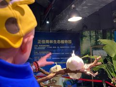 -正佳雨林生态植物园