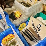 见人就想安利的沉浸式日料店🍱不来准后悔‼️